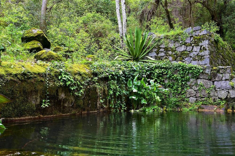 Pure Monchique Hotel - Villa Termal Spa Resort - By Unlock Hotels Exterior photo